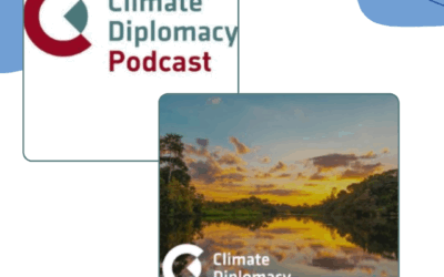 Mental Health and Psychosocial Support Expertise & Colombia’s Transitional Justice Process