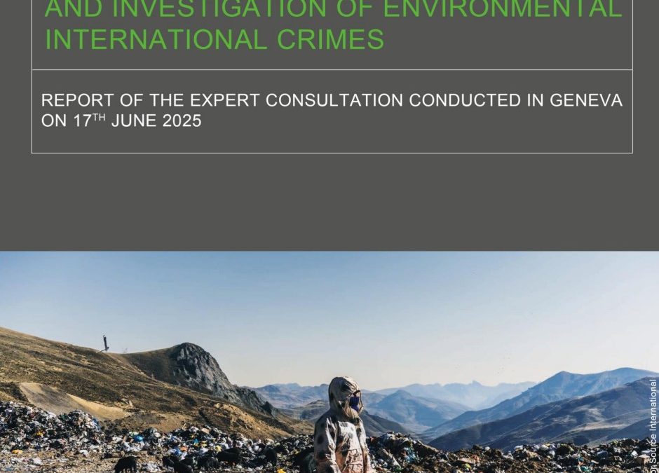 Expert Consultations Report on Future Guidelines on the Documentation & Investigation of Environmental International Crimes