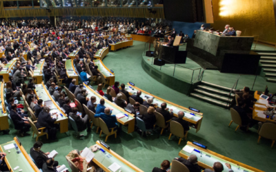 Historic First: UN Committee Refers Mexico’s Issue of Enforced Disappearances to the UN General Assembly